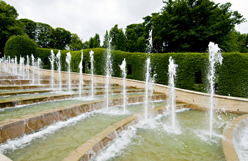 Alnwick gardens